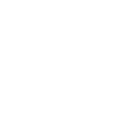 iconmt